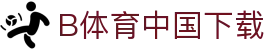 B体育 (bsports)中国官方网站-B SPORTS
